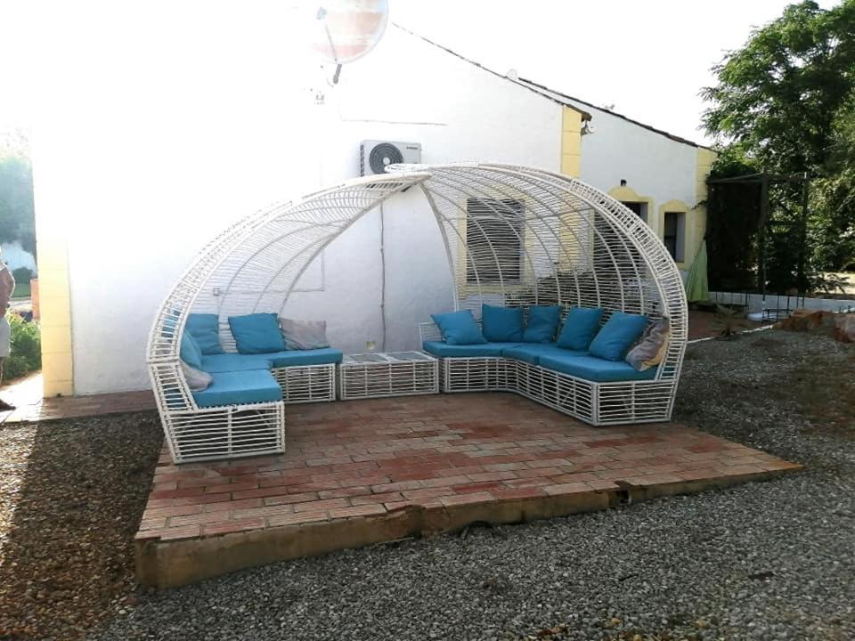 Casa Mimosa Bed & Breakfast Sao Bras de Alportel Bagian luar foto